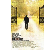 Большая плохая любовь (2001)