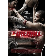 Файрбол (2009)
