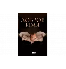 Доброе имя   сериал