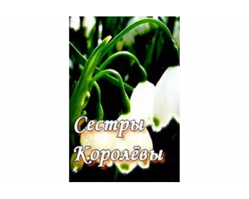Сестры Королевы   сериал смотреть