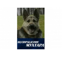 Возвращение Мухтара   сериал