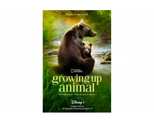 Взрослеющее животное   сериал смотреть
