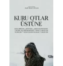 О сухой траве (2023)